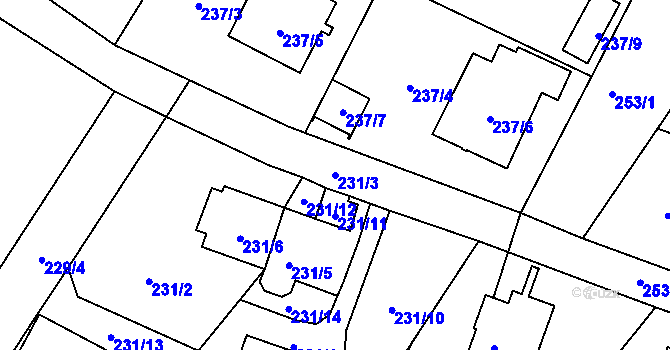 Parcela st. 231/3 v KÚ Nová Ves u Českých Budějovic, Katastrální mapa