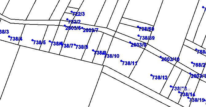Parcela st. 738/10 v KÚ Nedachlebice, Katastrální mapa