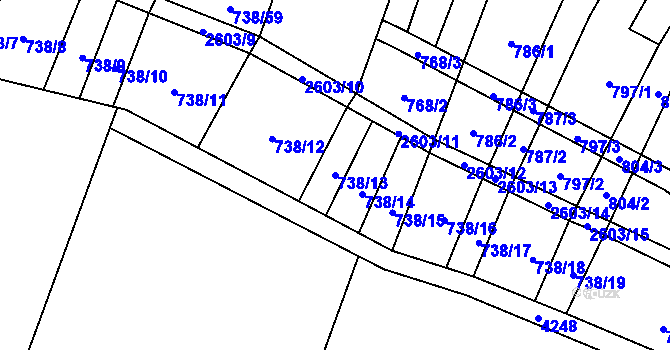 Parcela st. 738/13 v KÚ Nedachlebice, Katastrální mapa