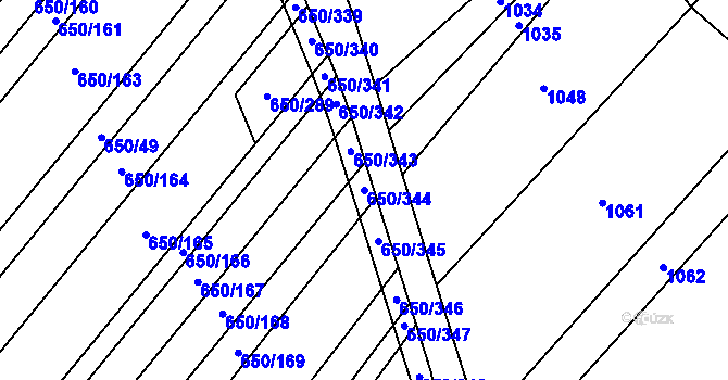 Parcela st. 650/344 v KÚ Nedašov, Katastrální mapa