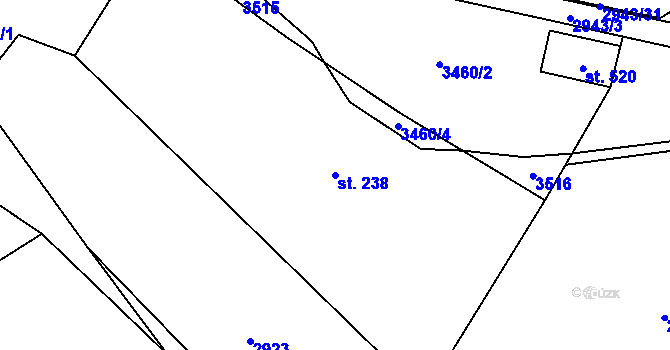 Parcela st. 238 v KÚ Nedašov, Katastrální mapa