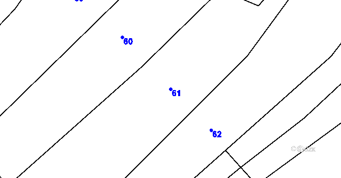 Parcela st. 61 v KÚ Nedašov, Katastrální mapa