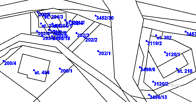 Parcela st. 202/1 v KÚ Nedašov, Katastrální mapa
