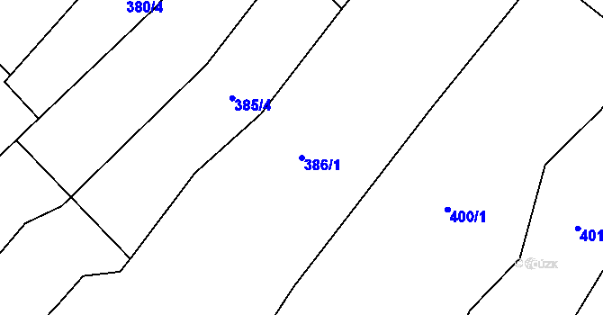 Parcela st. 386/1 v KÚ Nedašov, Katastrální mapa