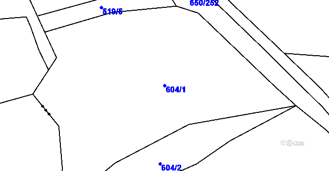 Parcela st. 604/1 v KÚ Nedašov, Katastrální mapa