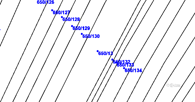 Parcela st. 650/13 v KÚ Nedašov, Katastrální mapa
