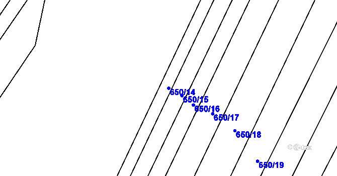 Parcela st. 650/14 v KÚ Nedašov, Katastrální mapa