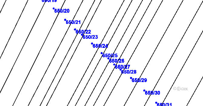 Parcela st. 650/25 v KÚ Nedašov, Katastrální mapa