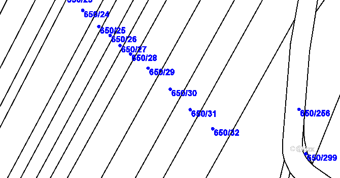 Parcela st. 650/30 v KÚ Nedašov, Katastrální mapa
