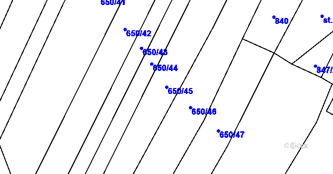 Parcela st. 650/45 v KÚ Nedašov, Katastrální mapa