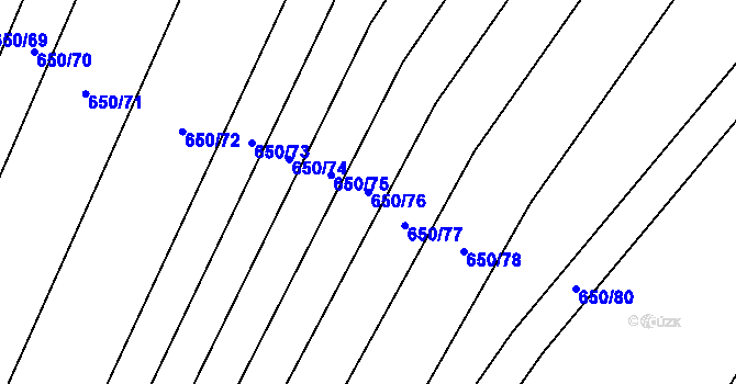 Parcela st. 650/76 v KÚ Nedašov, Katastrální mapa