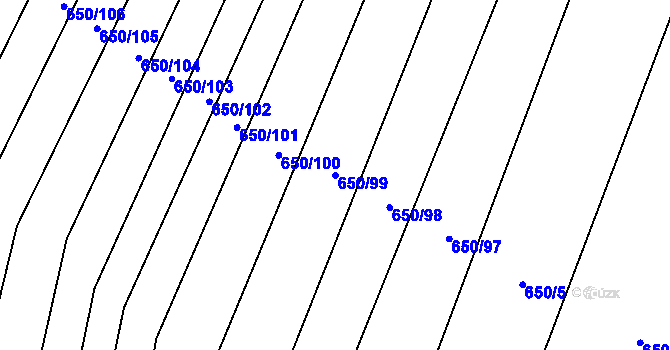 Parcela st. 650/99 v KÚ Nedašov, Katastrální mapa