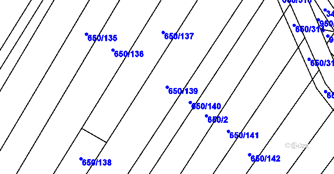 Parcela st. 650/139 v KÚ Nedašov, Katastrální mapa