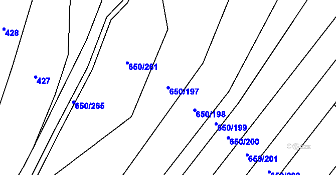 Parcela st. 650/197 v KÚ Nedašov, Katastrální mapa