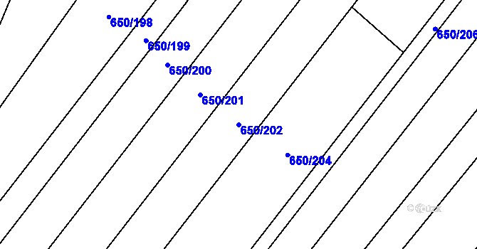 Parcela st. 650/202 v KÚ Nedašov, Katastrální mapa