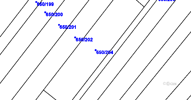 Parcela st. 650/204 v KÚ Nedašov, Katastrální mapa