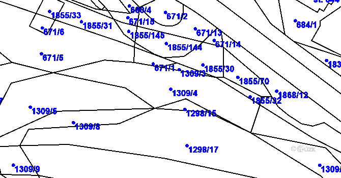 Parcela st. 1309/4 v KÚ Nedašova Lhota, Katastrální mapa