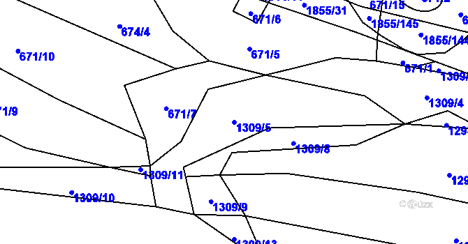 Parcela st. 1309/5 v KÚ Nedašova Lhota, Katastrální mapa