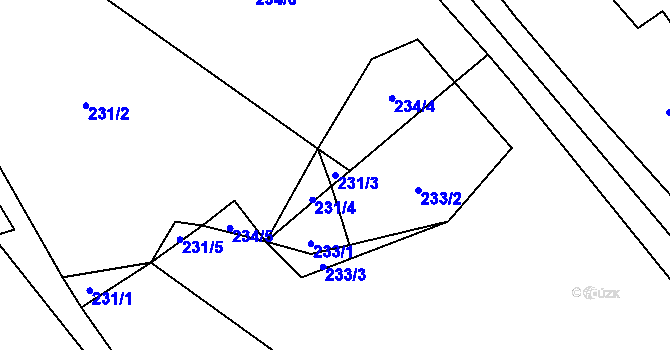 Parcela st. 231/3 v KÚ Nedašova Lhota, Katastrální mapa