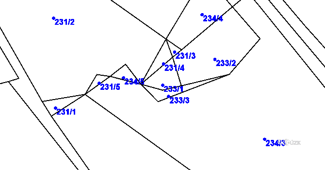 Parcela st. 233/1 v KÚ Nedašova Lhota, Katastrální mapa