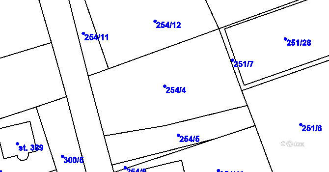 Parcela st. 254/4 v KÚ Nedašova Lhota, Katastrální mapa