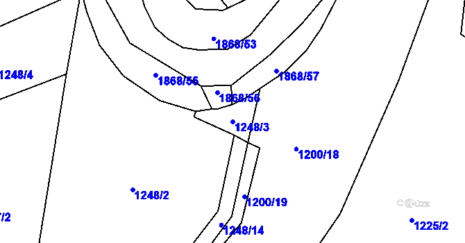 Parcela st. 1248/3 v KÚ Nedašova Lhota, Katastrální mapa