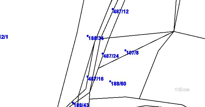 Parcela st. 487/24 v KÚ Kamenice u Nedrahovic, Katastrální mapa