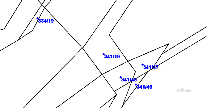 Parcela st. 341/19 v KÚ Kamenice u Nedrahovic, Katastrální mapa