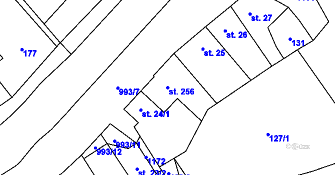 Parcela st. 256 v KÚ Nedvědice pod Pernštejnem, Katastrální mapa