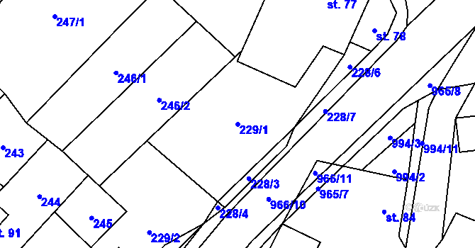 Parcela st. 229/1 v KÚ Nedvědice pod Pernštejnem, Katastrální mapa