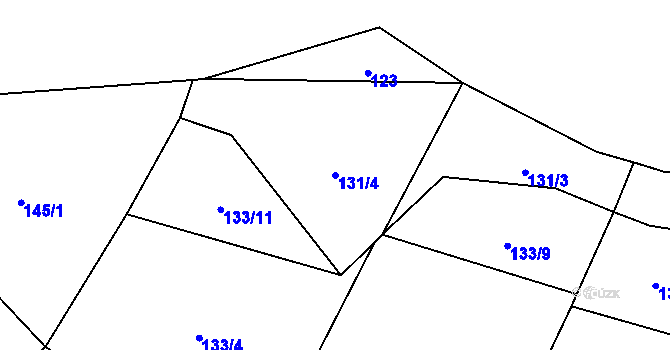 Parcela st. 131/4 v KÚ Nedvězí u Zábřeha, Katastrální mapa