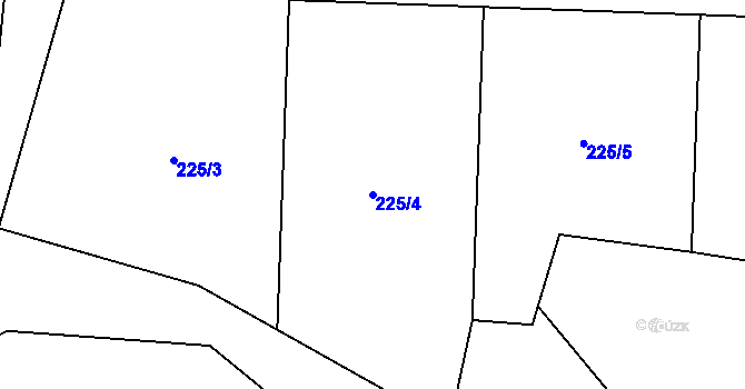 Parcela st. 225/4 v KÚ Homole u Nechalova, Katastrální mapa