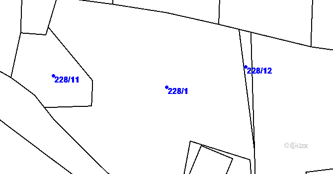 Parcela st. 228/1 v KÚ Homole u Nechalova, Katastrální mapa