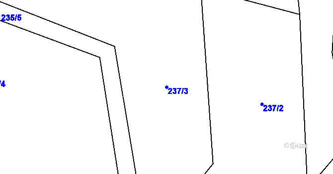 Parcela st. 237/3 v KÚ Homole u Nechalova, Katastrální mapa