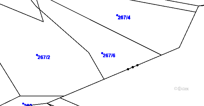 Parcela st. 267/6 v KÚ Homole u Nechalova, Katastrální mapa