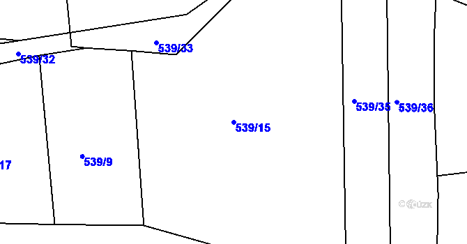Parcela st. 539/15 v KÚ Lubno u Nechanic, Katastrální mapa