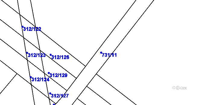 Parcela st. 731/11 v KÚ Lubno u Nechanic, Katastrální mapa