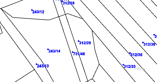 Parcela st. 312/29 v KÚ Lubno u Nechanic, Katastrální mapa