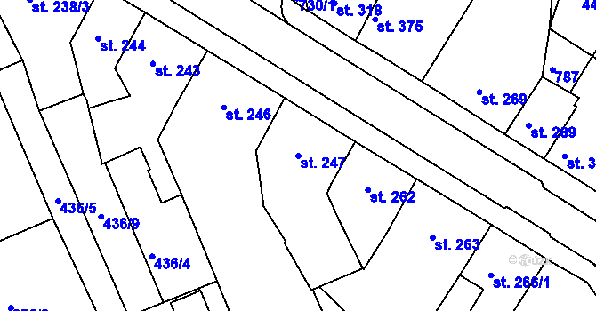 Parcela st. 247 v KÚ Nechanice, Katastrální mapa