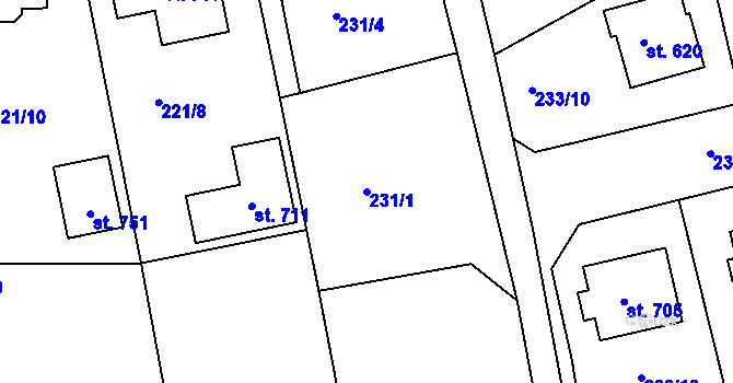 Parcela st. 231/1 v KÚ Nechanice, Katastrální mapa