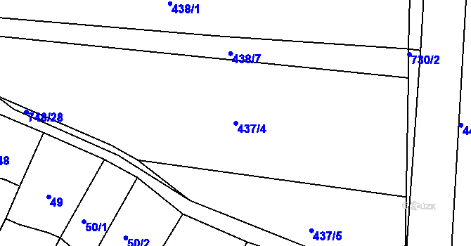 Parcela st. 437/4 v KÚ Nechanice, Katastrální mapa