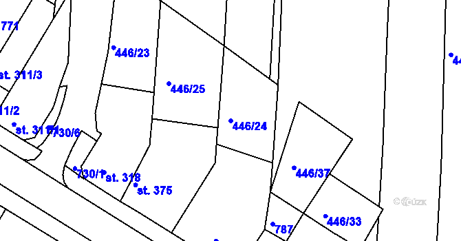 Parcela st. 446/24 v KÚ Nechanice, Katastrální mapa
