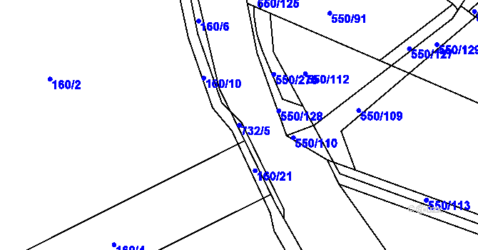 Parcela st. 732/5 v KÚ Nechanice, Katastrální mapa