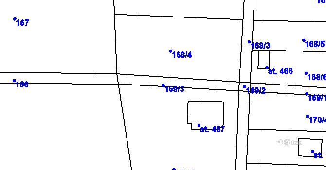 Parcela st. 169/3 v KÚ Nechanice, Katastrální mapa
