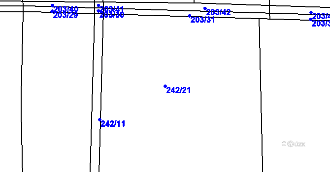Parcela st. 242/21 v KÚ Nechanice, Katastrální mapa