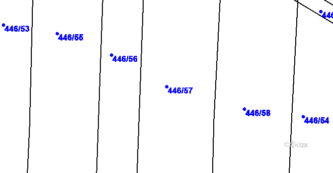 Parcela st. 446/57 v KÚ Nechanice, Katastrální mapa