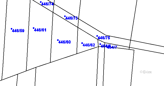 Parcela st. 446/62 v KÚ Nechanice, Katastrální mapa