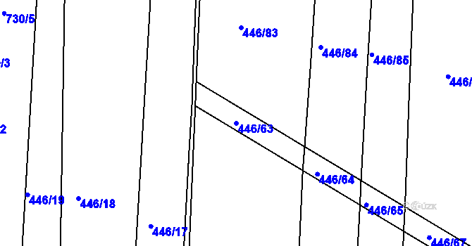 Parcela st. 446/63 v KÚ Nechanice, Katastrální mapa