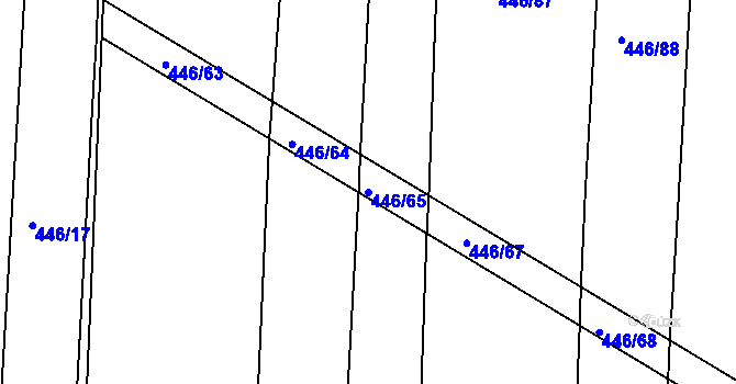 Parcela st. 446/65 v KÚ Nechanice, Katastrální mapa