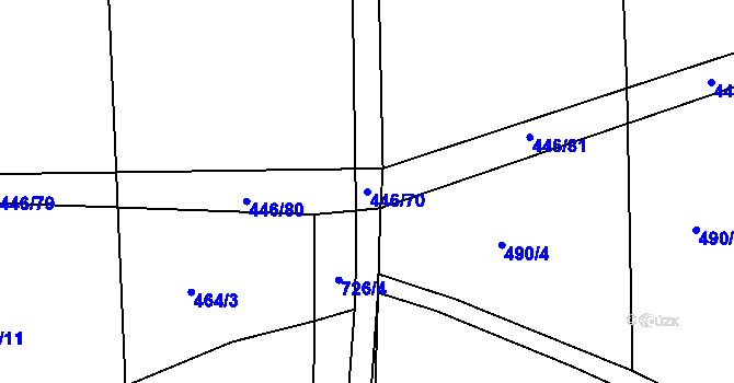 Parcela st. 446/70 v KÚ Nechanice, Katastrální mapa